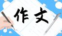以民风民俗为主题的作文