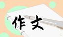 战争孩子的作文四年级
