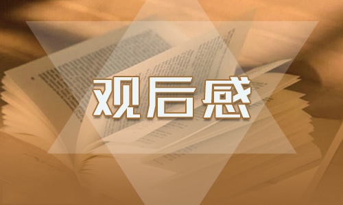 为人民服务观后感