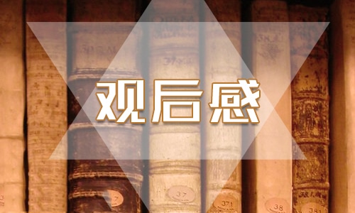 2025最新满江红电影观后感500字