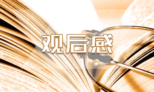 感动中国观后感文章